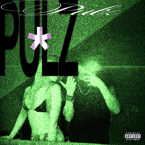 PULZ