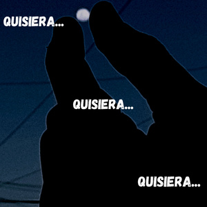 Quisiera