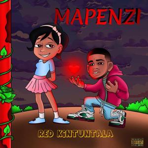 Mapenzi