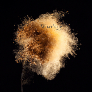 What's up(Original Mix)