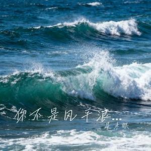 你不是风平浪静的海 (星未眠 Remix)