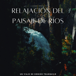 Reflexiones De Baile En La Superficie Del Agua