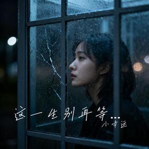 这一生别再等 (小幸运 Remix)