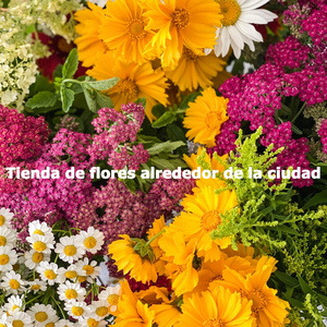 High-class Backdrops for Coffee Exploring