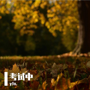 考试中