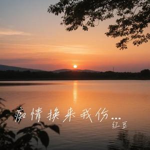 痴情换来我伤心 (Cover 洋澜一)