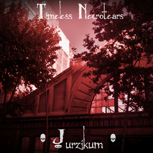 Entering the Pontifical Academy for Bedroom Slaves