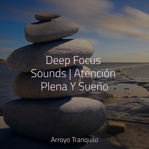 Tumbona Junto Al Lago