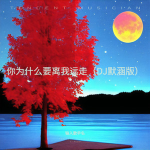 你为什么要离我远走 (DJ默涵版)