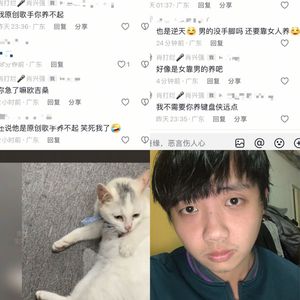 一只小公园的猫引发一场diss -  - 输出 - Stereo Out 伴奏