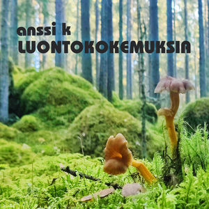 Tämä elämä meni näin