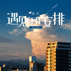 遇见自有安排-女声版（精华版）