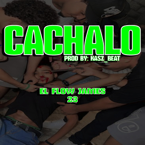 Cachalo