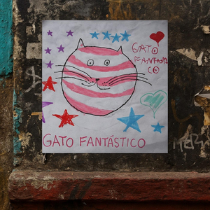 Gato Fantástico