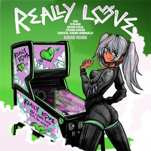 Really Love (feat. Sean Paul, Craig David & Digital Farm Animals) (R3HAB Remix)