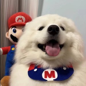 我们之间的默契，是绝口不提爱情