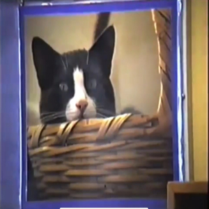 Counting My Possessions