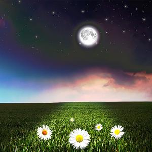 深度催眠曲5分钟入睡 治愈重度失眠