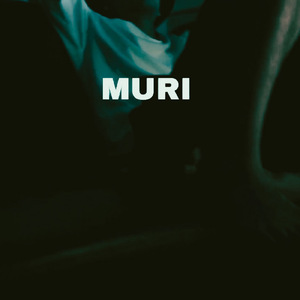 Muri
