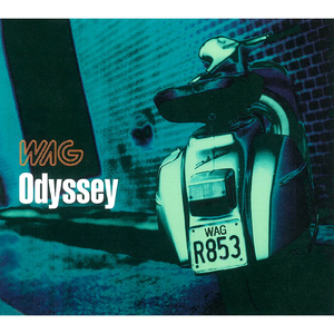 What's There to Find