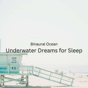 Binaural Ocean Sleep Capsule