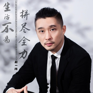 生活不易拼尽全力 (DJ光波版)