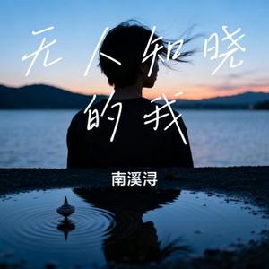 无人知晓的我 (南溪浔 Remix)