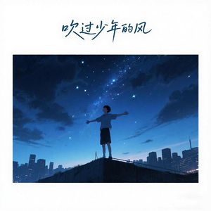 吹过少年的风