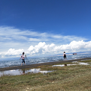 就让风吹过旷野的入口