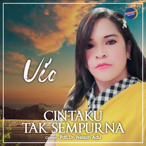 Cintaku Tak Sempurna