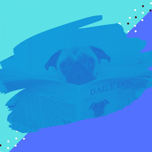 Astounding Ambience for Calming Dogs