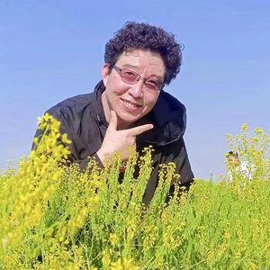 康雪林作词作曲《老来难》