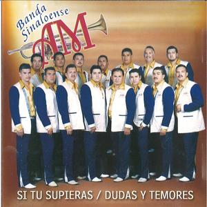 Partiste