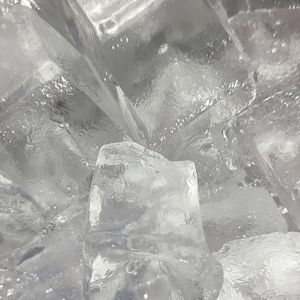 卡农弹奏白敬亭