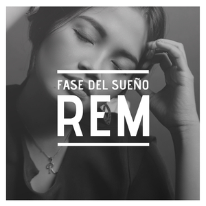 Desconectar (Ondas Theta)