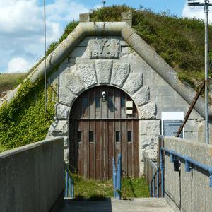 Need To Get Fit And Shave My Beard