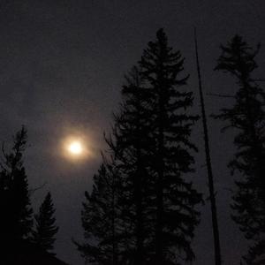 soft rain begins to fall