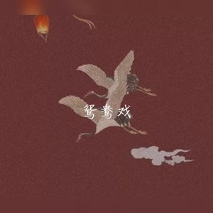 鸳鸯戏（抖音可爱版）