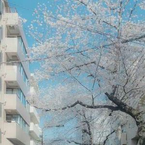 路边漫步