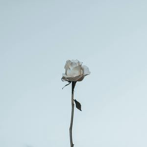 【FREE BEAT】 90s boombap beat