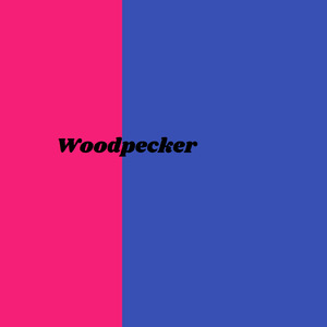 Woodpecker