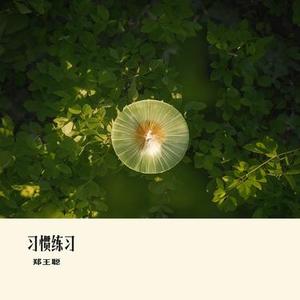 习惯练习
