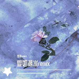 爱如潮水remix