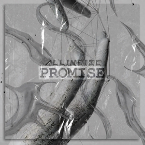 Promise