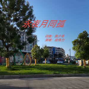 永夜月同孤