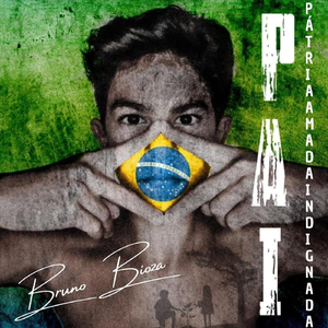 Pátria Amada Indignada (P.A.I)