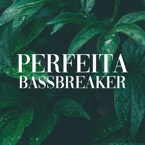 Perfeita (Instrumental)