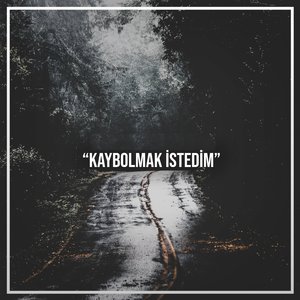 Kaybolmak İstedim