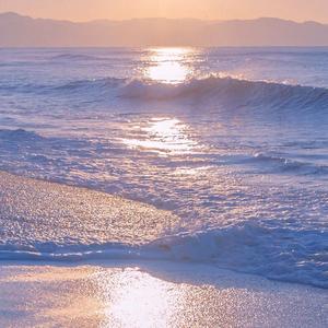 落日与鲸（翻自 鬼鬼Gmer）