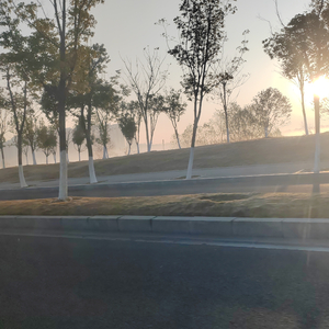 最熟悉的陌生人